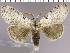  ( - red-144)  @14 [ ] Unspecified (default): All Rights Reserved  Unspecified Unspecified