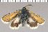  ( - yellow-144)  @13 [ ] Unspecified (default): All Rights Reserved  Unspecified Unspecified