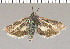  ( - yellow-145)  @13 [ ] Unspecified (default): All Rights Reserved  Unspecified Unspecified