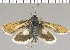  ( - yellow-146)  @13 [ ] Unspecified (default): All Rights Reserved  Unspecified Unspecified