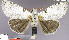  ( - red-147)  @13 [ ] Unspecified (default): All Rights Reserved  Unspecified Unspecified