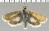  ( - yellow-147)  @13 [ ] Unspecified (default): All Rights Reserved  Unspecified Unspecified