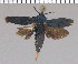  ( - yellow-15)  @13 [ ] Unspecified (default): All Rights Reserved  Unspecified Unspecified