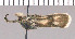  ( - yellow-157)  @12 [ ] Unspecified (default): All Rights Reserved  Unspecified Unspecified
