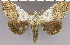  ( - red-158)  @13 [ ] Unspecified (default): All Rights Reserved  Unspecified Unspecified