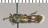  ( - yellow-159)  @12 [ ] Unspecified (default): All Rights Reserved  Unspecified Unspecified