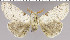  ( - red-16)  @14 [ ] Unspecified (default): All Rights Reserved  Unspecified Unspecified