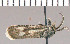  ( - yellow-160)  @12 [ ] Unspecified (default): All Rights Reserved  Unspecified Unspecified