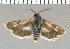  ( - yellow-161)  @13 [ ] Unspecified (default): All Rights Reserved  Unspecified Unspecified