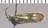  ( - yellow-162)  @12 [ ] Unspecified (default): All Rights Reserved  Unspecified Unspecified