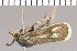  ( - yellow-163)  @12 [ ] Unspecified (default): All Rights Reserved  Unspecified Unspecified