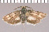  ( - yellow-165)  @12 [ ] Unspecified (default): All Rights Reserved  Unspecified Unspecified