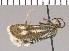  ( - yellow-166)  @12 [ ] Unspecified (default): All Rights Reserved  Unspecified Unspecified