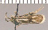  ( - yellow-167)  @12 [ ] Unspecified (default): All Rights Reserved  Unspecified Unspecified