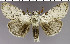  ( - red-17)  @14 [ ] Unspecified (default): All Rights Reserved  Unspecified Unspecified