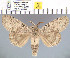 ( - yellow-170)  @13 [ ] Unspecified (default): All Rights Reserved  Unspecified Unspecified