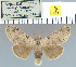  ( - yellow-171)  @13 [ ] Unspecified (default): All Rights Reserved  Unspecified Unspecified