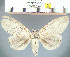  ( - yellow-172)  @12 [ ] Unspecified (default): All Rights Reserved  Unspecified Unspecified