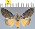  ( - yellow-173)  @14 [ ] Unspecified (default): All Rights Reserved  Unspecified Unspecified