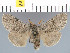  ( - yellow-176)  @13 [ ] Unspecified (default): All Rights Reserved  Unspecified Unspecified