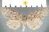  ( - yellow-178)  @13 [ ] Unspecified (default): All Rights Reserved  Unspecified Unspecified