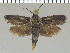  ( - yellow-18)  @11 [ ] Unspecified (default): All Rights Reserved  Unspecified Unspecified
