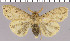  ( - red-19)  @13 [ ] Unspecified (default): All Rights Reserved  Unspecified Unspecified