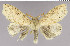  ( - red-20)  @13 [ ] Unspecified (default): All Rights Reserved  Unspecified Unspecified