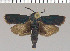  ( - yellow-20)  @11 [ ] Unspecified (default): All Rights Reserved  Unspecified Unspecified