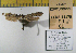  ( - 2011-61)  @12 [ ] Unspecified (default): All Rights Reserved  2011.2713 Unspecified