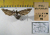  ( - 2011-65)  @12 [ ] Unspecified (default): All Rights Reserved  2011.2717 Unspecified