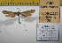  ( - 2011-78)  @12 [ ] Unspecified (default): All Rights Reserved  2011.2730 Unspecified
