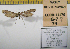  ( - 2011-79)  @12 [ ] Unspecified (default): All Rights Reserved  2011.2731 Unspecified