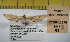  ( - 2011-91)  @12 [ ] Unspecified (default): All Rights Reserved  2011.2743 Unspecified