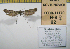  ( - 2011-92)  @12 [ ] Unspecified (default): All Rights Reserved  2011.2744 Unspecified