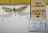  ( - 2011-94)  @12 [ ] Unspecified (default): All Rights Reserved  2011.2746 Unspecified