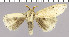  ( - red-21)  @12 [ ] Unspecified (default): All Rights Reserved  Unspecified Unspecified