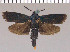  ( - yellow-21)  @11 [ ] Unspecified (default): All Rights Reserved  Unspecified Unspecified