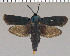 ( - yellow-22)  @11 [ ] Unspecified (default): All Rights Reserved  Unspecified Unspecified