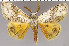  ( - red-24)  @14 [ ] Unspecified (default): All Rights Reserved  Unspecified Unspecified