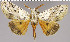  ( - red-25)  @14 [ ] Unspecified (default): All Rights Reserved  Unspecified Unspecified