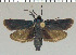 ( - yellow-27)  @11 [ ] Unspecified (default): All Rights Reserved  Unspecified Unspecified