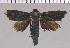  ( - yellow-28)  @11 [ ] Unspecified (default): All Rights Reserved  Unspecified Unspecified