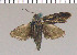  ( - yellow-29)  @11 [ ] Unspecified (default): All Rights Reserved  Unspecified Unspecified