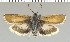  ( - yellow-4)  @11 [ ] Unspecified (default): All Rights Reserved  Unspecified Unspecified