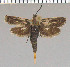  ( - yellow-40)  @13 [ ] Unspecified (default): All Rights Reserved  Unspecified Unspecified