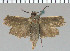  ( - yellow-44)  @12 [ ] Unspecified (default): All Rights Reserved  Unspecified Unspecified