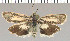  ( - yellow-49)  @11 [ ] Unspecified (default): All Rights Reserved  Unspecified Unspecified