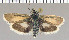  ( - yellow-5)  @11 [ ] Unspecified (default): All Rights Reserved  Unspecified Unspecified