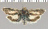  ( - yellow-59)  @11 [ ] Unspecified (default): All Rights Reserved  Unspecified Unspecified